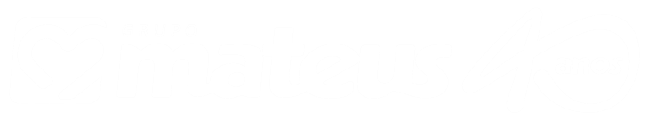Grupo Mateus